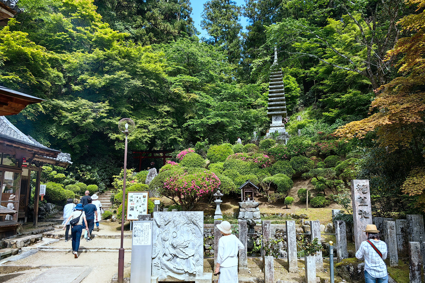 西國三十三所-東光山龍蓋寺(岡寺)